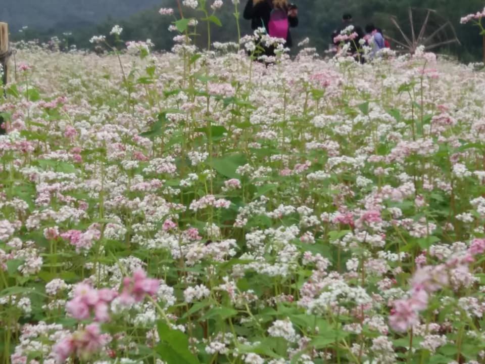 Mai Chau Xanh Bungalow Esterno foto